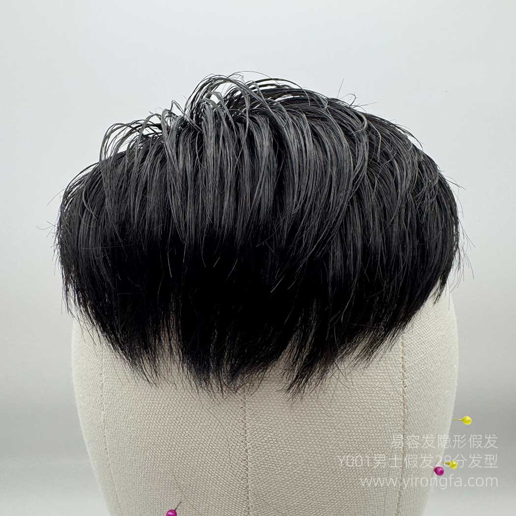 Y001男士假发28分发型