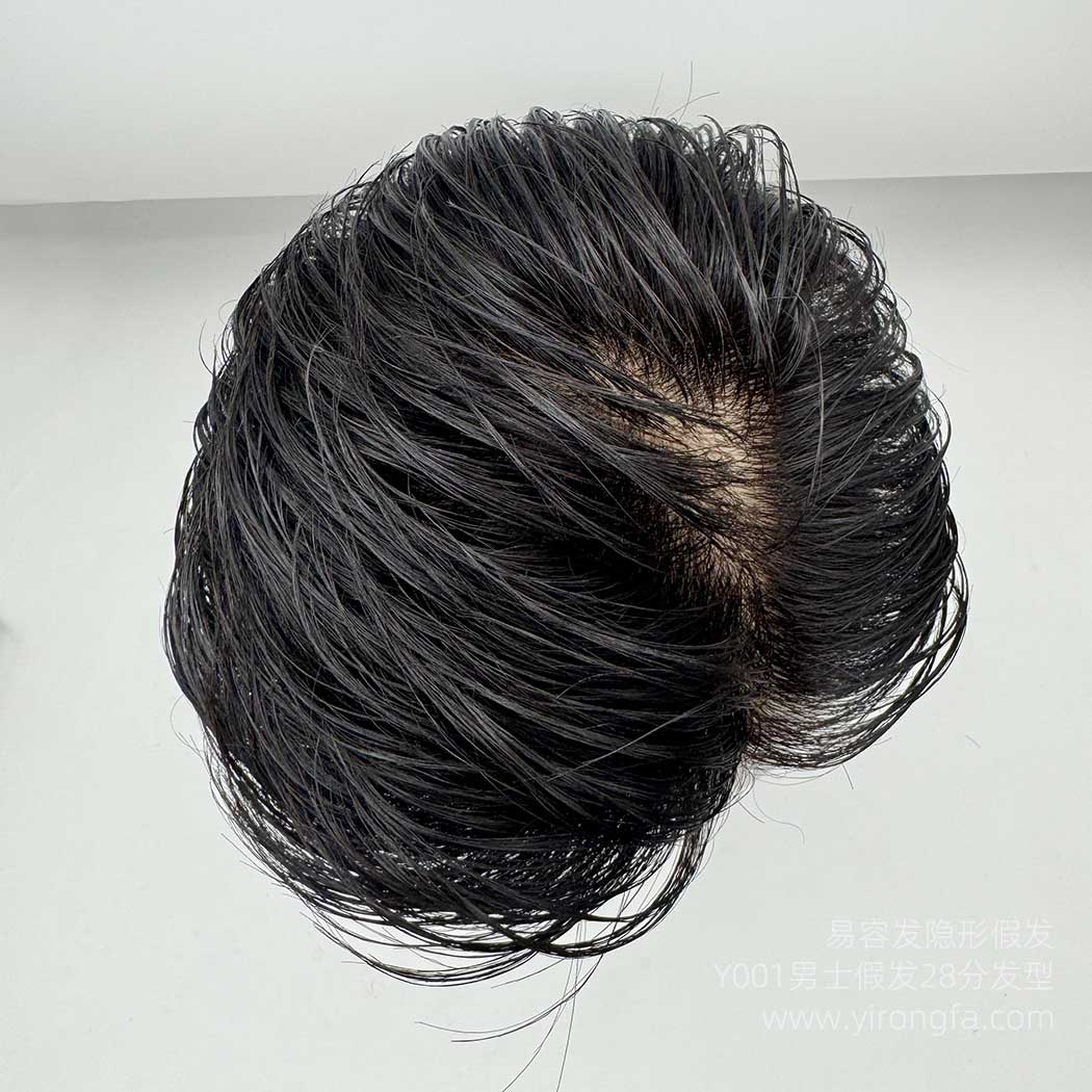 Y001男士假发28分发型