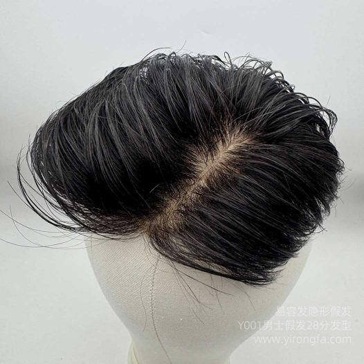 Y001男士假发28分发型